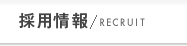 採用情報